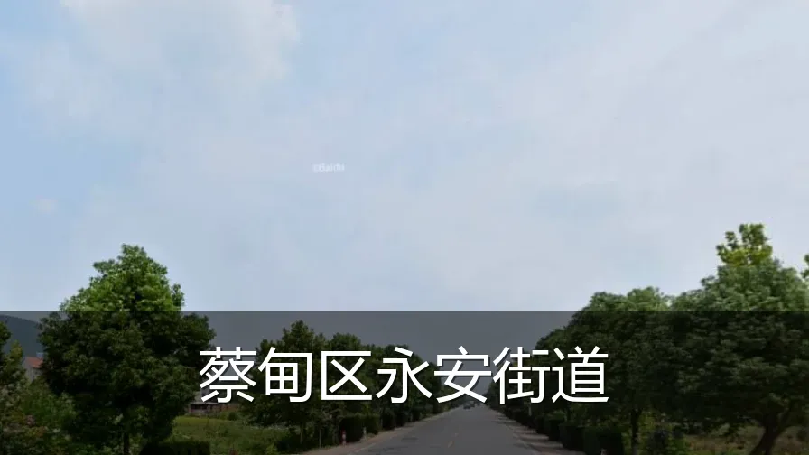 蔡甸区永安街道