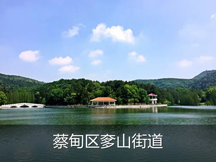 蔡甸区奓山街道