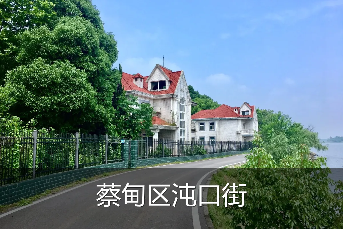 蔡甸区沌口街