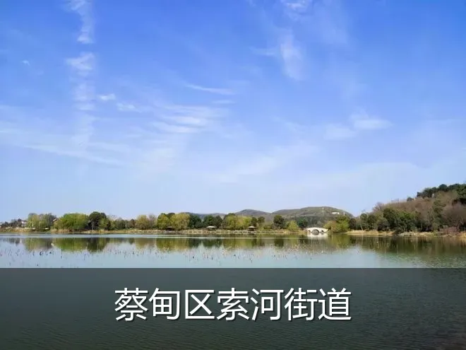蔡甸区索河街道