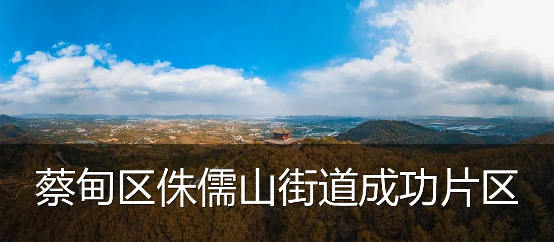 蔡甸区侏儒山街道成功片区