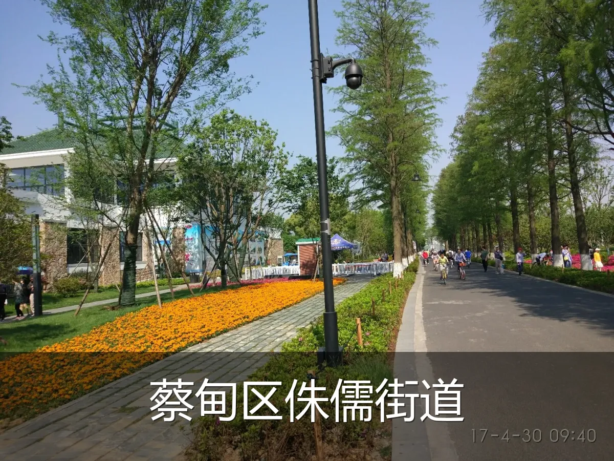 蔡甸区侏儒街道
