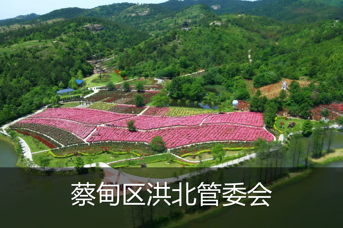 蔡甸区洪北管委会